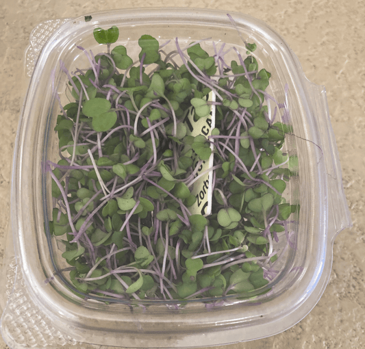 Keeping It Crisp: How Zunsol Micro-Greens Masters Moisture Control with Zorbette Dri-Tabs - Zorbette Dri-Tabs